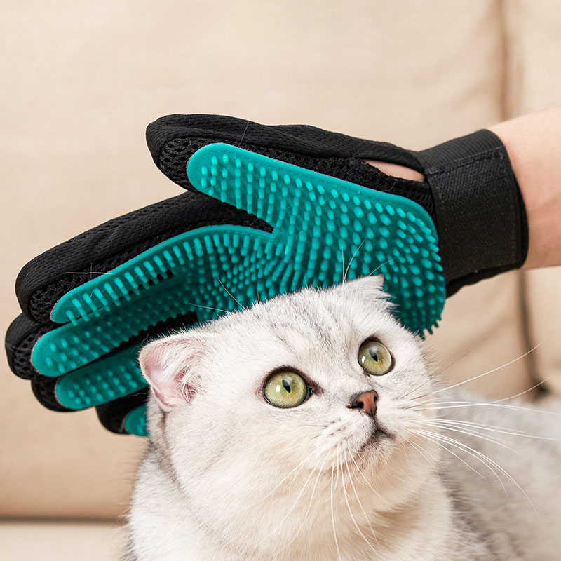 Guanto per Toelettatura Animal - Rubber Glove Cleaning recensione e prezzo