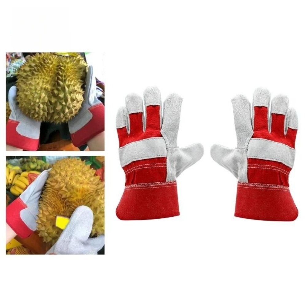 Guanti da Giardinaggio in Pell - Cut Resistant Glove recensione e prezzo
