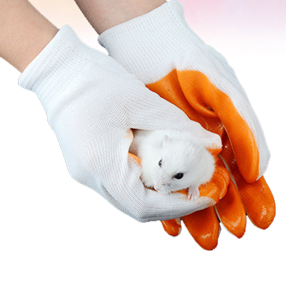 1 Paio di Guanti Anti-Morso pe - Cut Resistant Glove recensione e prezzo